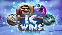 IC Wins